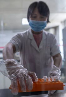 孩子是你的,我要和你结婚 情人逼他做亲子鉴定,看到结果他脸绿了 老人