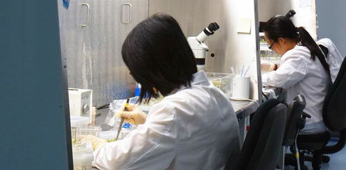 从年薪30万到月薪4千 非婚生女抚养费怎么算