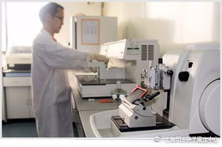 亲子鉴定 残酷的真相