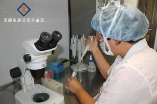 司法亲子鉴定 法医司法鉴定的关键环节