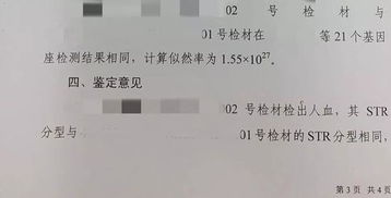 清早车头一滩血，竟是条人命案——法医司法鉴定揭开真相
